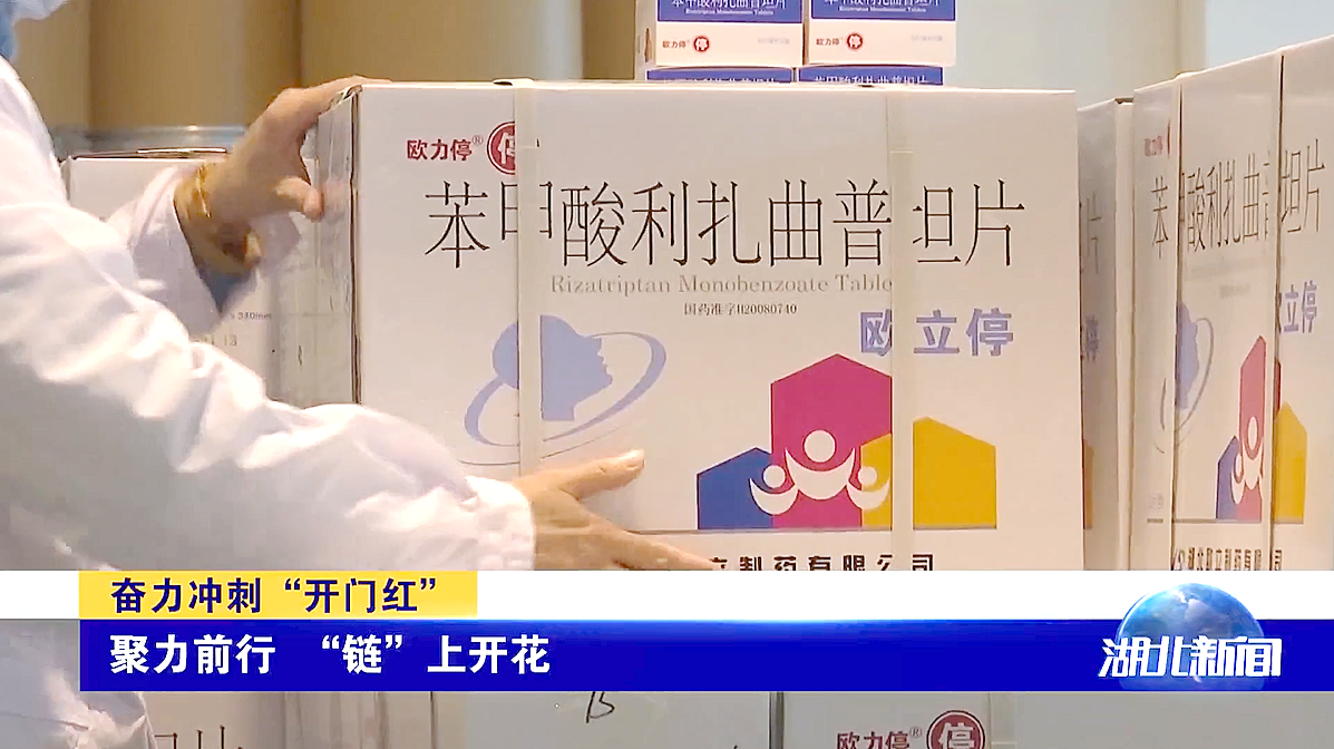 科技创新！湖北卫视对我司进行报道(图1)