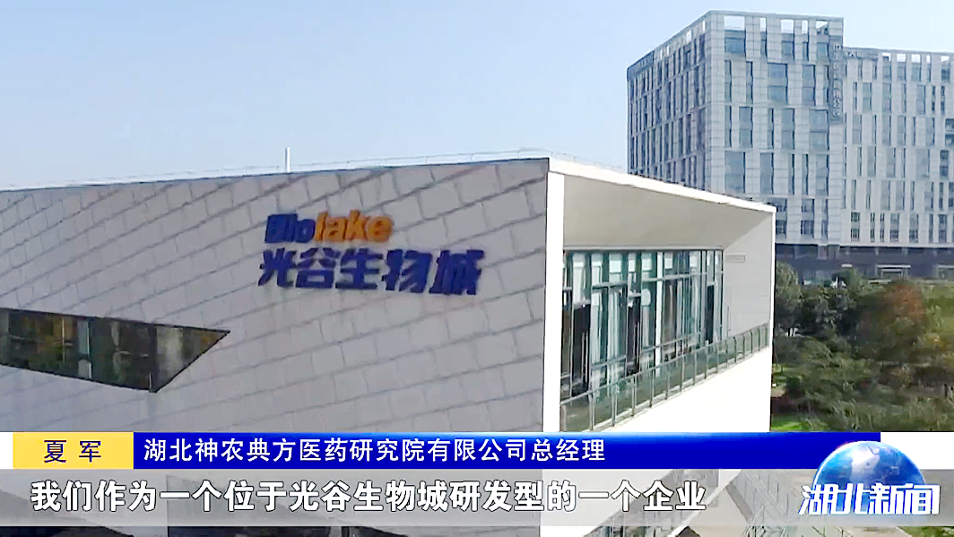 科技创新！湖北卫视对我司进行报道(图3)